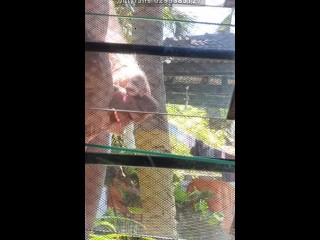 Public dick flashing Africa