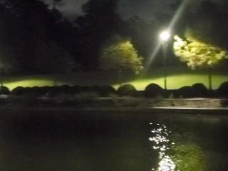 A Beautiful Night for a Walk Along the Water! 🥰