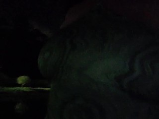 A Beautiful Night for a Walk Along the Water! 🥰