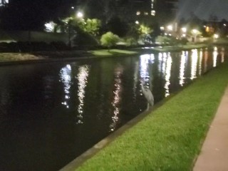 A Beautiful Night for a Walk Along the Water! 🥰