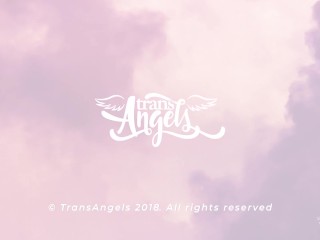 Dinner Party Delight / TransAngels