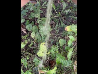 Pissing in the grass in my backyard