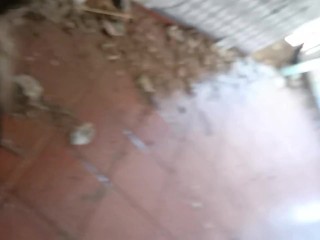 Abandoned house public blowjob - big natural tits - Portugal - more on onlyfans 😈