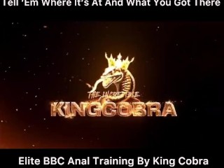 KingCobraEliteAnalTraining