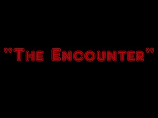 Episode IV: The Encounter