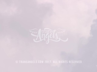 Active Booty / TransAngels