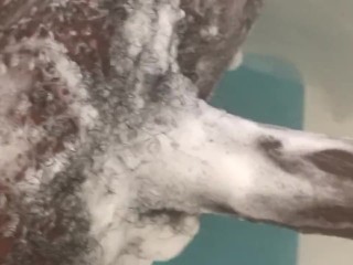 Can you put this in your pussy an cream all over ?