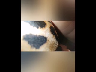 Public Car Blowjob - Portugal - more on onlyfans 😈