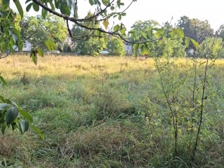 Загорали в общественном месте и возбудились. Часть 2