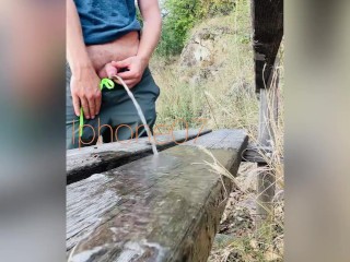 Huge piss on public park bench. I couldn't hold it Sorry for the dirty