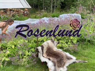 Sex on a reindeer skin in the garden - RosenlundX - 4K 60fps