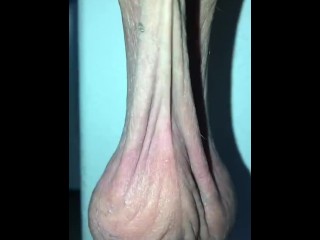 LOW HANGING SEXY BALLS SEXY SCROTUM