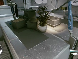 СЕКСИ Starfield, Ролевая, От третьего лица, Открытый мир, Космос