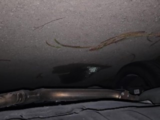 Peeing into my trunk. Leaks out onto the driveway