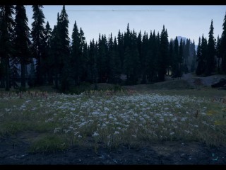 Far Cry 5 | Catching A Judge In 4K