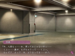 【H GAME】イドラの影♡Hアニメーション② エロアニメ