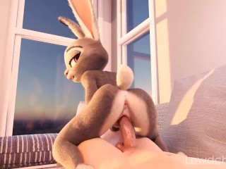 Judy Hopps Riding Your Cock