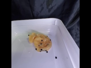 Mango Boba Tea Slime (feet squishing ASMR)