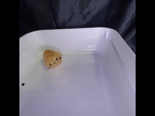 Mango Boba Tea Slime (feet squishing ASMR)