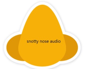 snotty nose audio