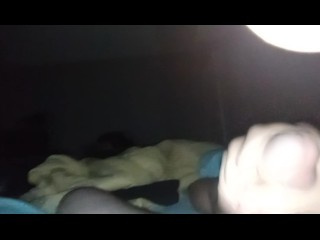 When the sneaky link wants to get pregnant