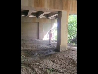 Dumb Internet Bitch gives Homeless Man a Show.