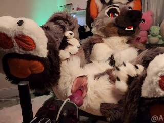 Furry girl takes full fursuit fuck machine pounding creampie Only Fans preview