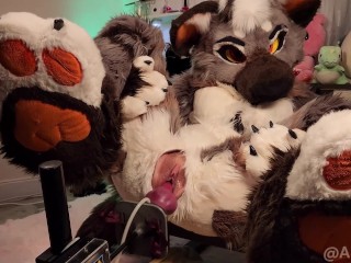 Furry girl takes full fursuit fuck machine pounding creampie Only Fans preview