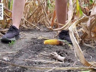 Urgent piss in the cornfield