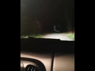 Due amici per fare un video porno una puttana in macchina e gli sborrano in bocca