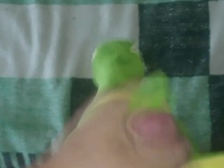 Green dinosaur t-rex (30cm)