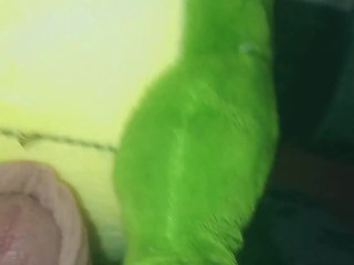 Green dinosaur t-rex (30cm)