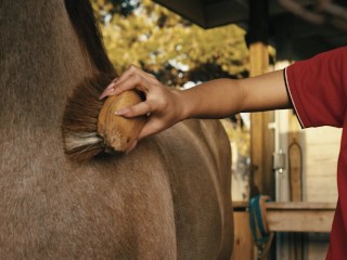 HUGE cock and cum load for Mina from her horse trainer!