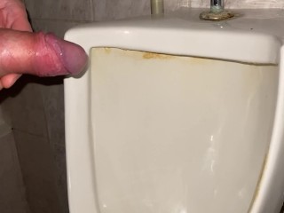 Quick pissing in a public toilet close up