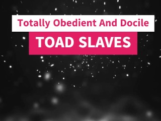 Exclusive: New Years FemDom and Eunuch recap