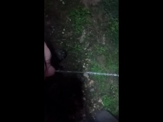 Pissing backyard