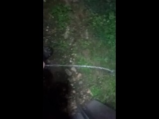 Pissing backyard