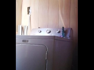 Playing in the garbage while doing laundry