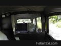 FakeTaxi - customer goes all the way