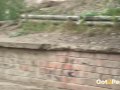Got2Pee - Standing Pee Compilation 001