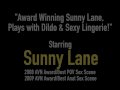 Award Winning Sunny Lane, Plays with Dildo &amp; Sexy Lingerie!