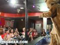 Dancing Bear Big Dick For The Masses (db10286)