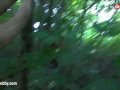 My Dirty Hobby - Busty slut fucked in the woods