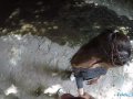 Public Agent Lost Tourist Fucked outside under a Bridge