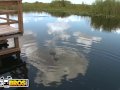 BANGBROS - Tessa Taylor's Florida Everglades Adventure With Tony Rubino