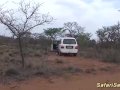 wild outdoor african fuck party