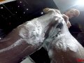 Redheaded Sluts Showers With Her Nylons On As She Rubs Her Twat