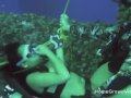 Fucking this busty cutie underwater while scuba diving