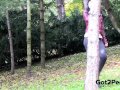 Forest Piss For Desperate Brunette